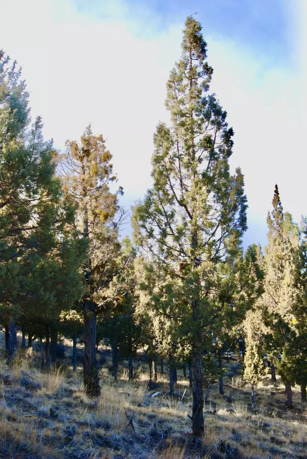 Bend, OR 97703,3481 Bryce Canyon LN