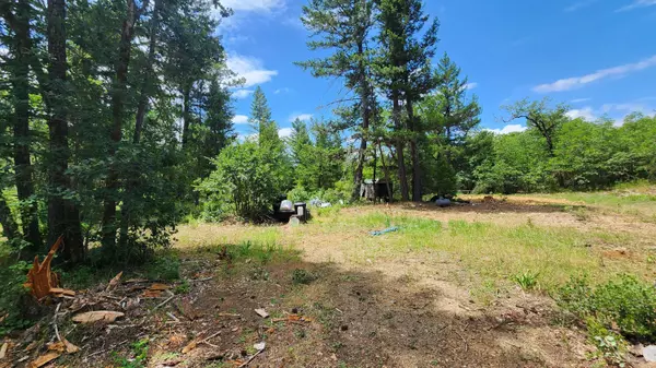 Cave Junction, OR 97523,5894 Rockydale RD