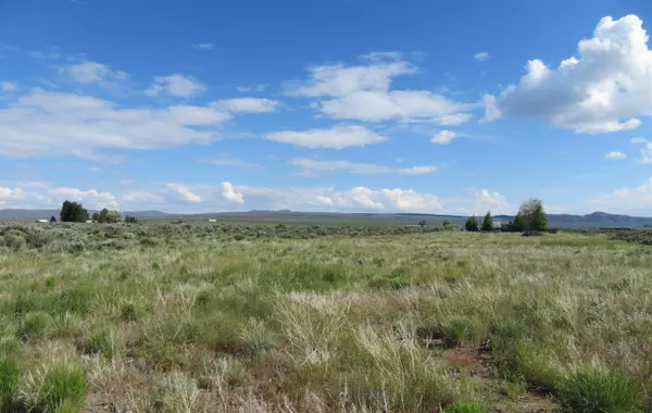 Christmas Valley, OR 97641,Lot 41 Pinion LN