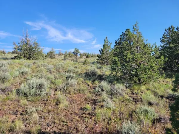 Prineville, OR 97754,TL 2900 Deer Run RD