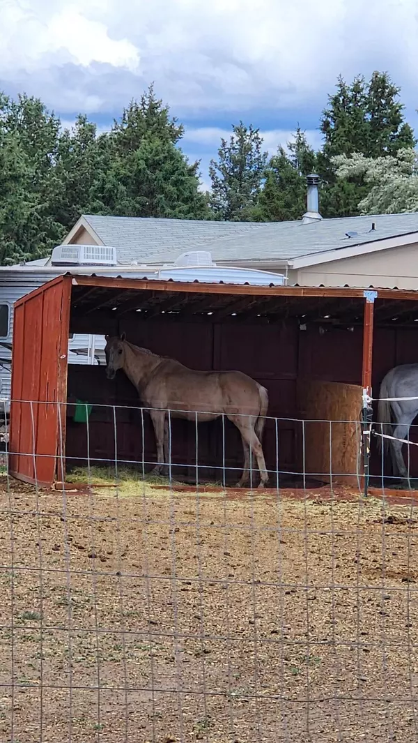 Terrebonne, OR 97760,12938 Peninsula DR