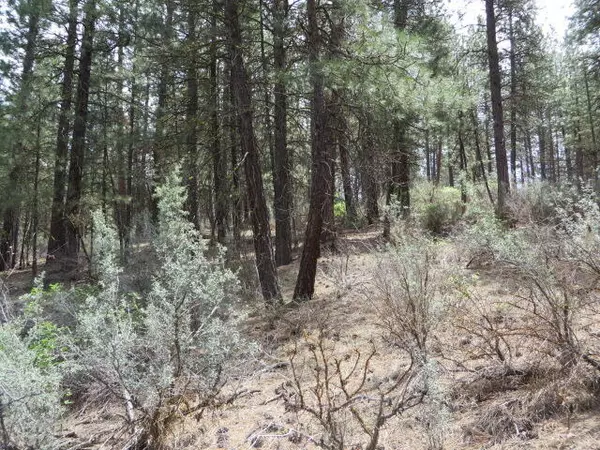 Chiloquin, OR 97624,Bl 3 lot 2 Twin River