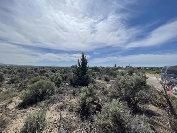 Pinion LN #9100, Christmas Valley, OR 97641