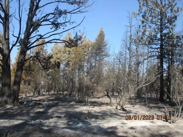 Bonanza, OR 97623,Blackbird #43 & 44