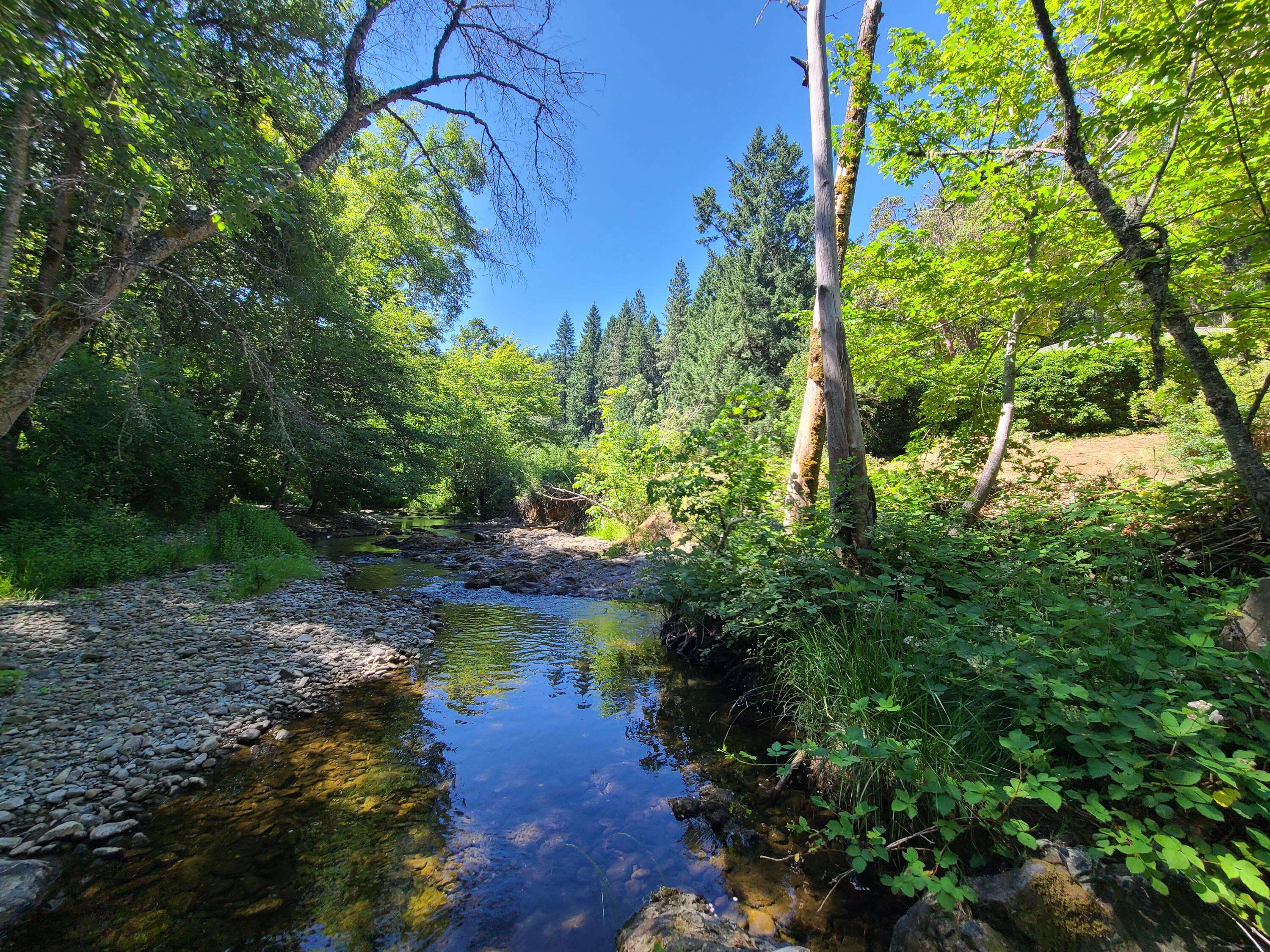 Wolf Creek, OR 97497,140 Park AVE