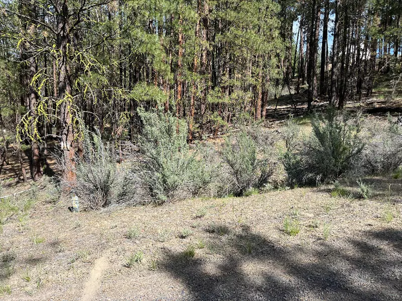 Choptie Drive #18, Chiloquin, OR 97624