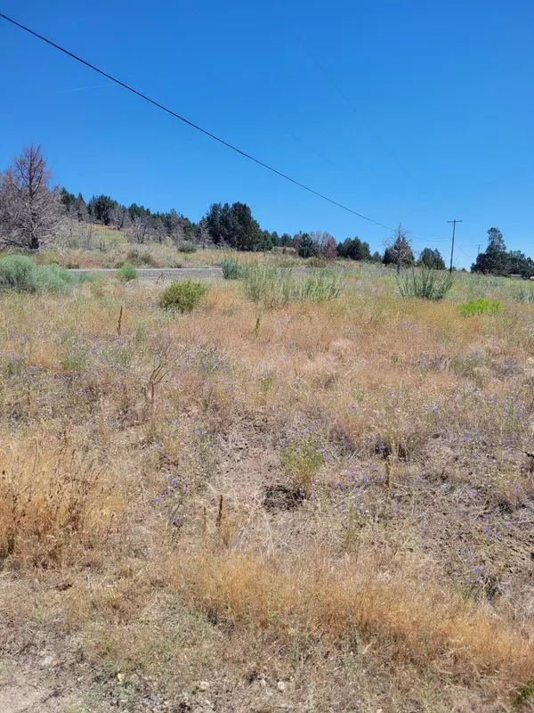 Beatty, OR 97621,Drews Ranch Rd #Lot 7