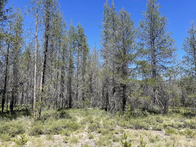 Priday LOOP #Lot 16, Chiloquin, OR 97624