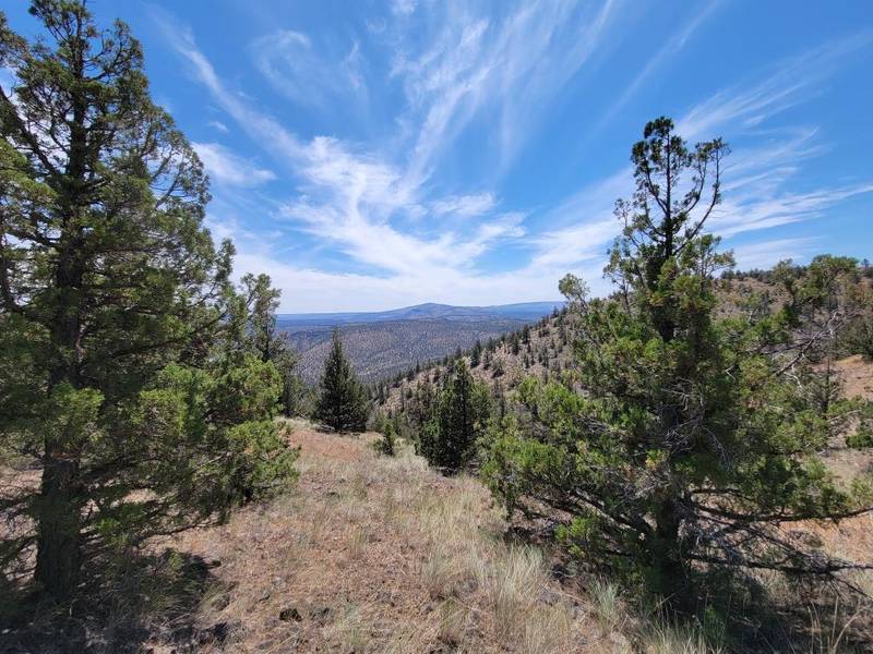 TL 4900 Deer Run RD, Prineville, OR 97754