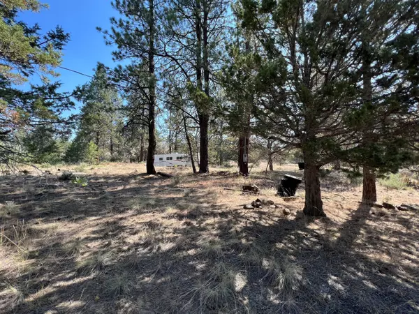 Bonanza, OR 97623,Lot 16 Seagull DR