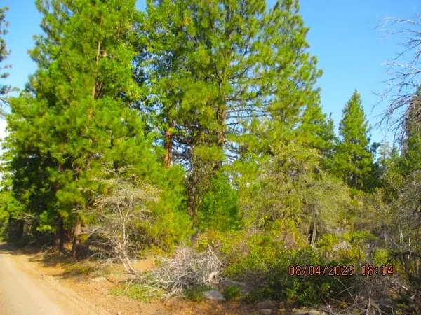 Bonanza, OR 97623,Lot 41 Porpoise LN