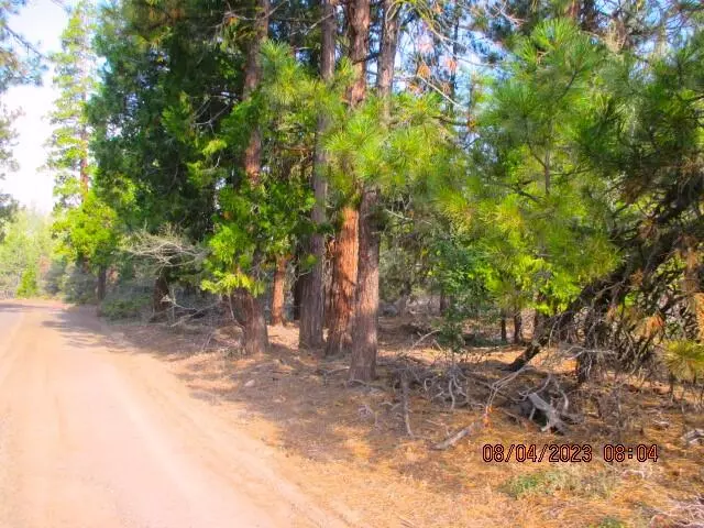 Bonanza, OR 97623,Lot 41 Porpoise LN