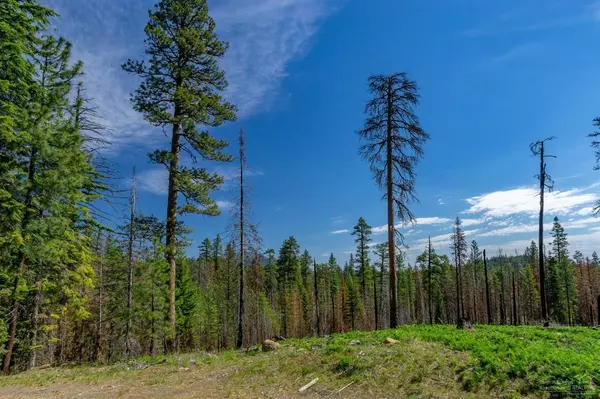 Sisters, OR 97759,Lot-500 Forest Service RD #1030 Rd