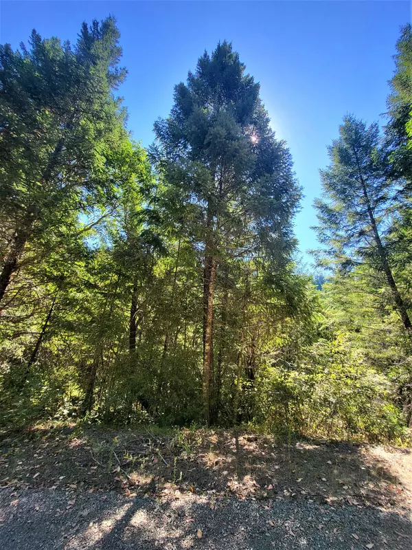 Cave Junction, OR 97523,French Peak RD