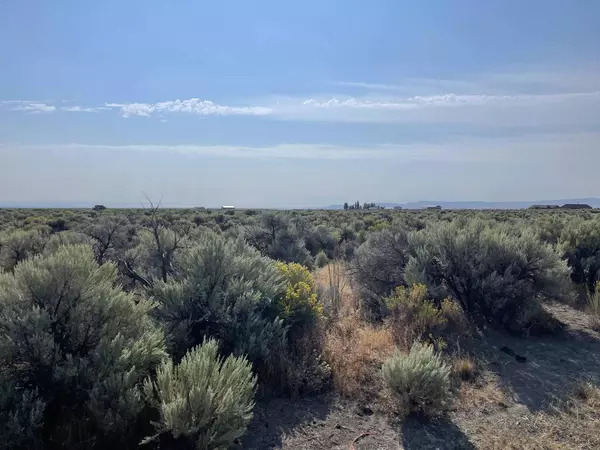 Millican RD #02900, Christmas Valley, OR 97641