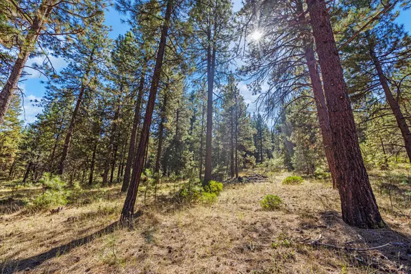 Klamath Falls, OR 97601,Lot 24 Simpson Canyon RD