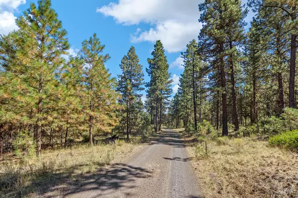 Klamath Falls, OR 97601,Lot 24 Simpson Canyon RD