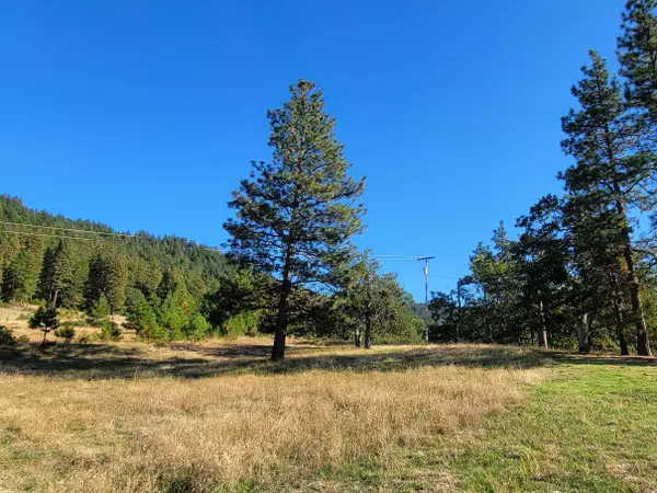 Ashland, OR 97520,Tyler Creek Parcel 1 RD