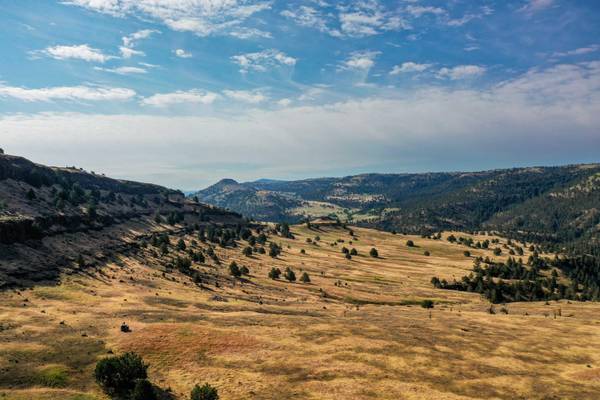 TBD Bonepoint RD, Long Creek, OR 97856