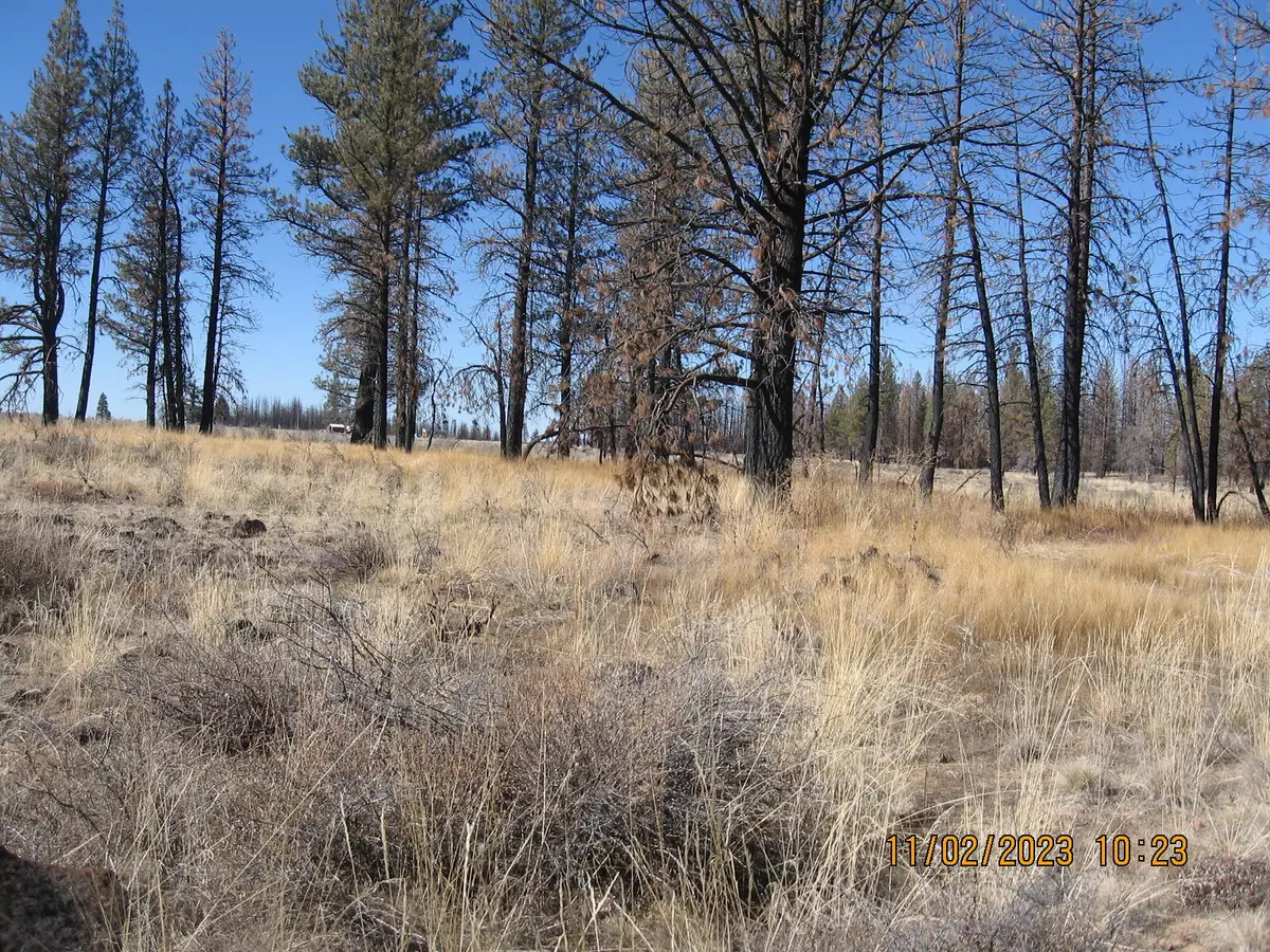 Bly, OR 97622,Lot 15N Douglas Fir Lane