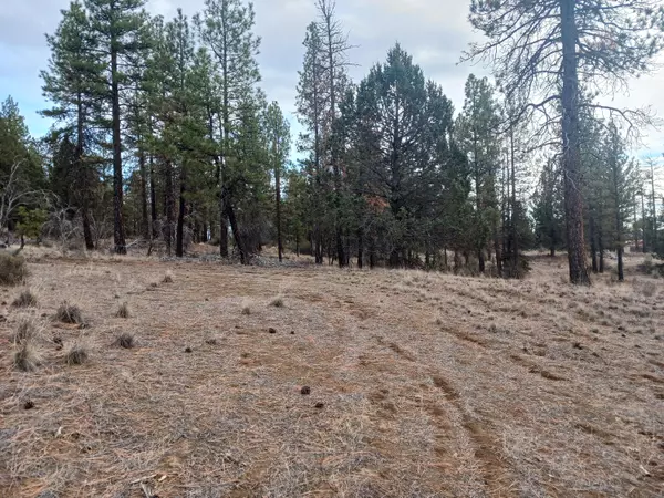 Moccasin LN #Lot 13 Block 50, Chiloquin, OR 97624