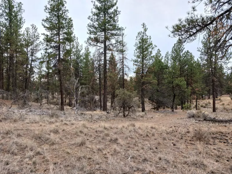 Moccasin LN #Lot 12 Block 50, Chiloquin, OR 97624