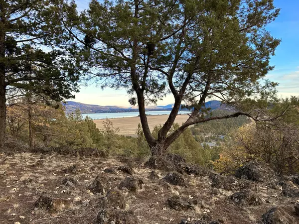 Klamath Falls, OR 97601,Coopers Hawk RD #Lot 827
