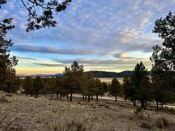 Klamath Falls, OR 97601,Lot 1193 Murrelet RD