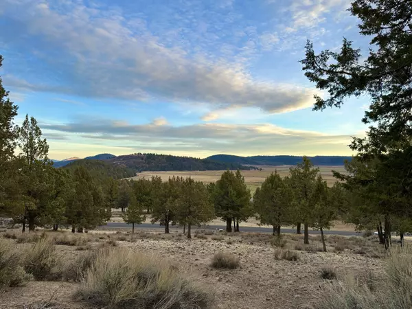 Klamath Falls, OR 97601,Lot 1192 Murrelet RD