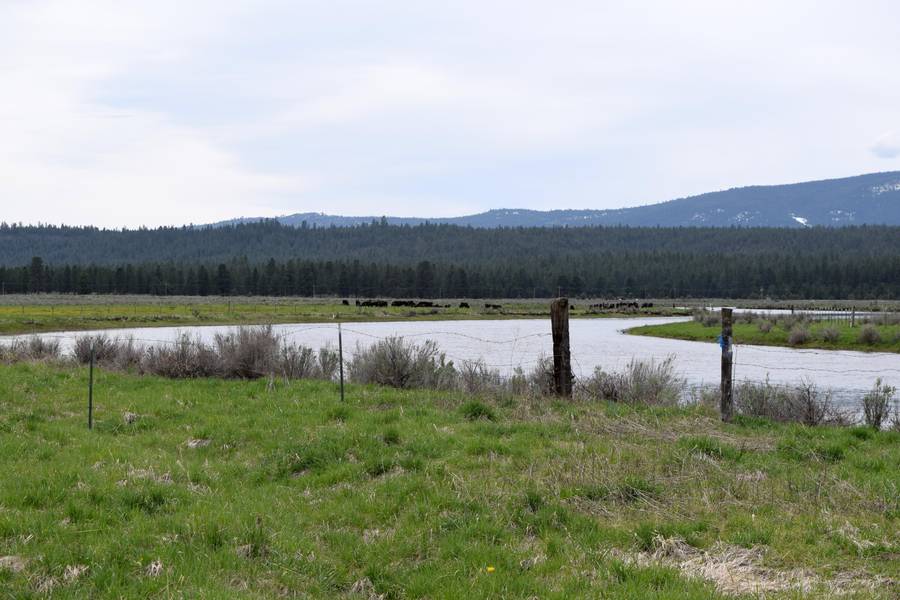 Easement off Skeen Ranch RD, Sprague River, OR 97639