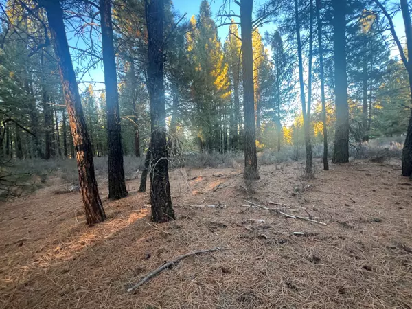 Lot 10 Jet AVE, Chiloquin, OR 97624