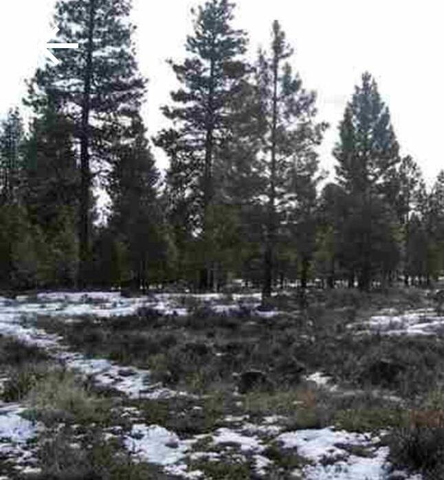 Misty Mountain #5-lot, Klamath Falls, OR 97603
