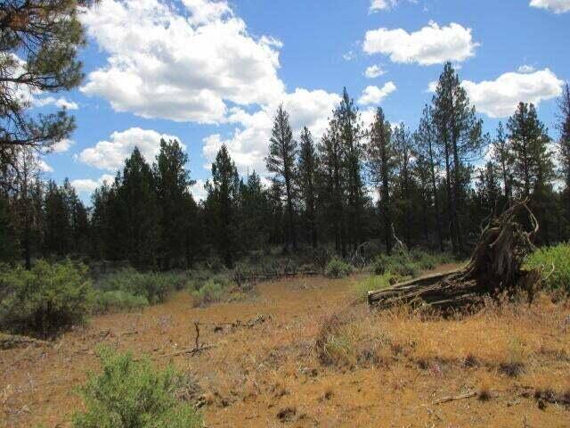 Lot 10 Tepee LN, Sprague River, OR 97639