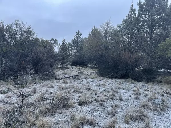 Bonanza, OR 97623,Lot 24 Pelican DR #Lot 24