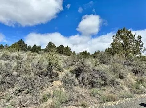 Sprague River, OR 97639,Nimrod River Park #06
