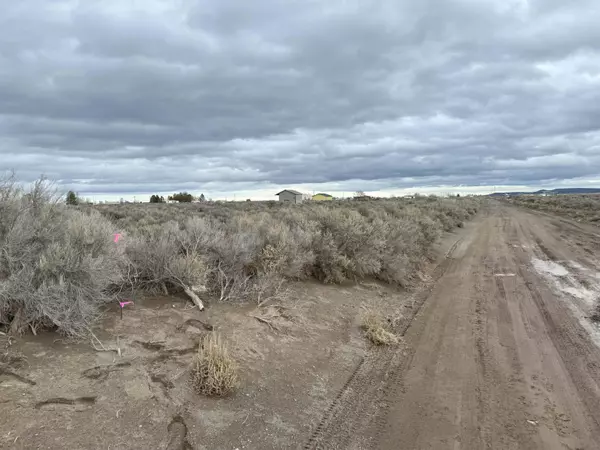 Christmas Valley, OR 97641,E Thorn LN #TL 2300