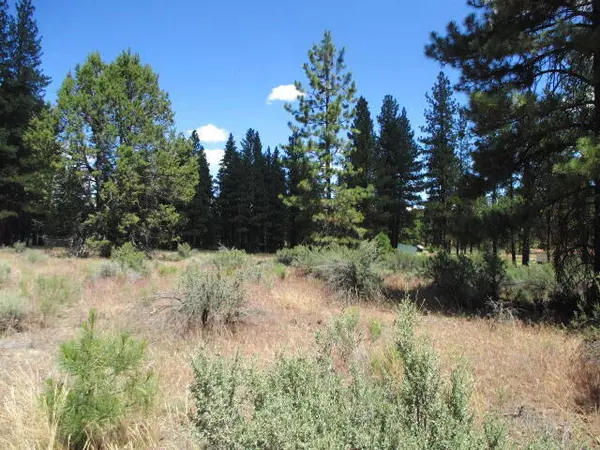 Bonanza, OR 97623,Lot 10 TEAL DR