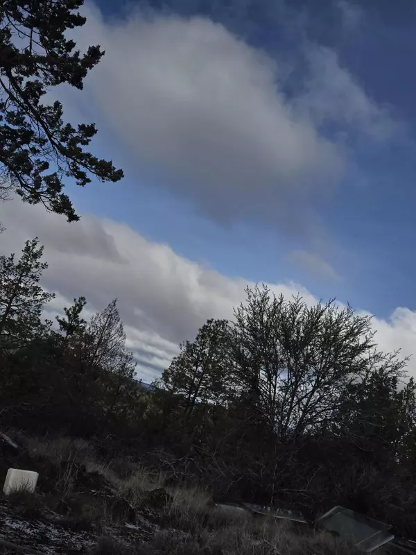 Bonanza, OR 97623,Lots 25-27 Canvasback DR