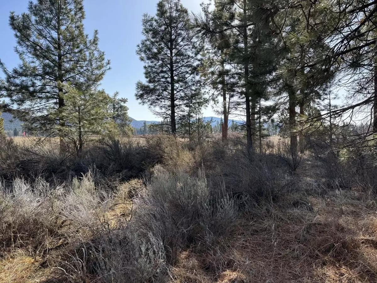 Chiloquin, OR 97624,Copperfield DR #Lot 1