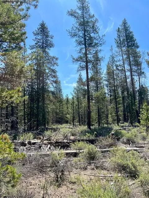 Gilchrist, OR 97737,Powerline #1200