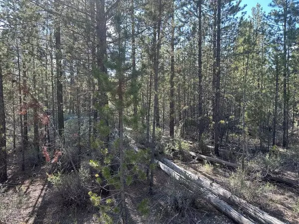 Gilchrist, OR 97737,Powerline #1200