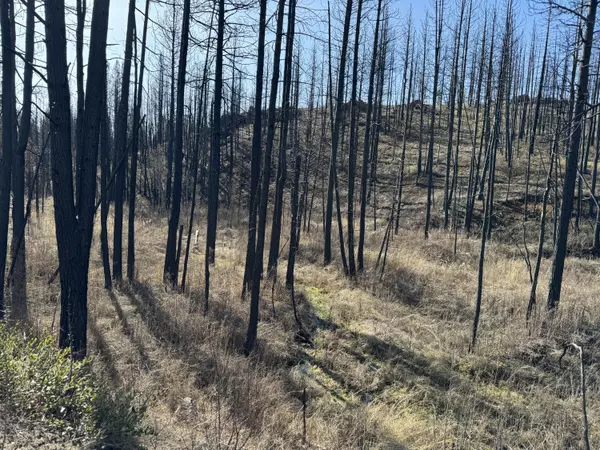 Beatty, OR 97621,5 Acres Near Godowa Springs RD