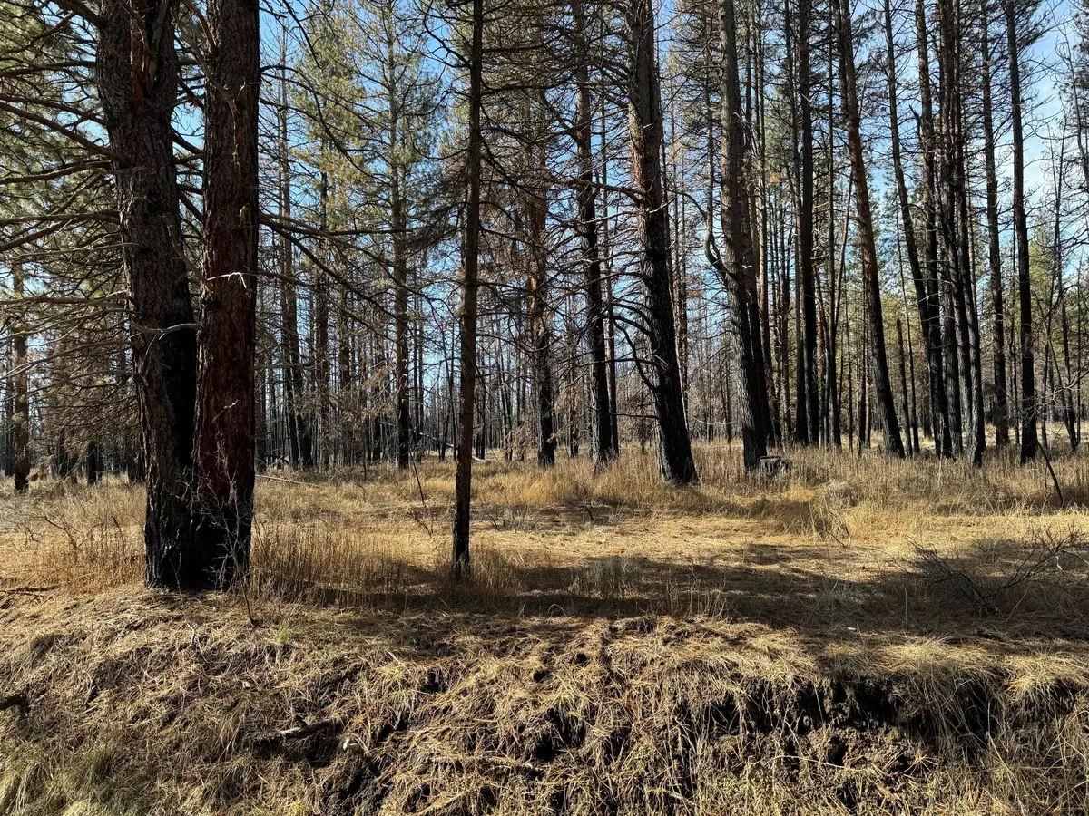 Beatty, OR 97621,5 Acres Near Godowa Springs RD
