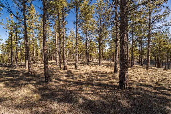 62939 Ostrom Drive #Lot 22, Bend, OR 97703