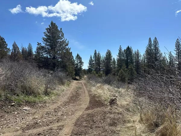 Beatty, OR 97621,27.48 Acre Charlpine RD