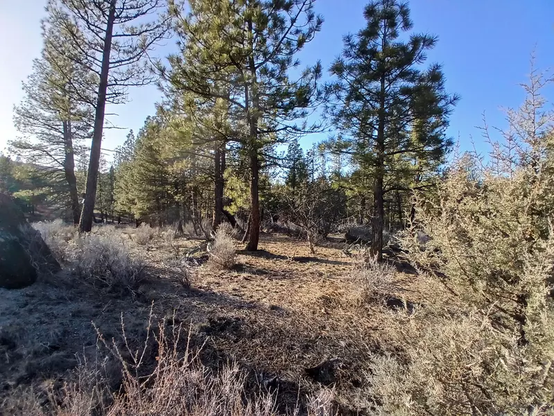 Elde ST #Lot 30 Block 3, Chiloquin, OR 97624