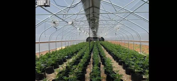 Cave Junction, OR 97523,1679 Laurel RD