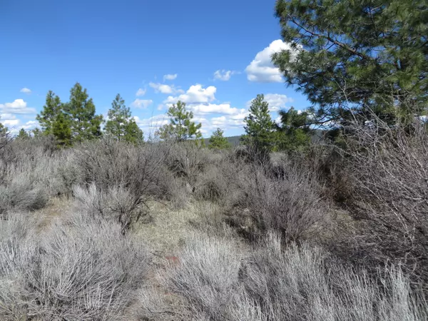 Chiloquin, OR 97624,B7 L7 David ST #7