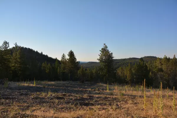 Prineville, OR 97754,TBD Loften Creek RD