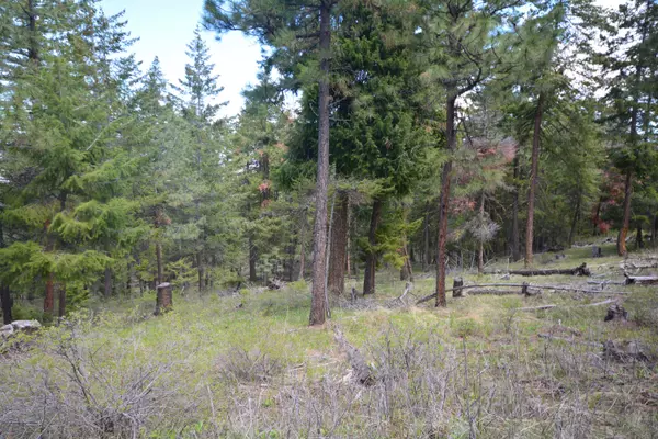 Prineville, OR 97754,TBD Turner Creek RD